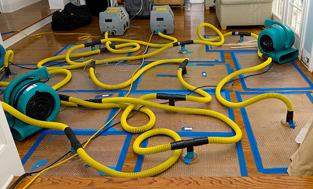 Professional Burst Pipe Water Damage technician working in Ludington, MI