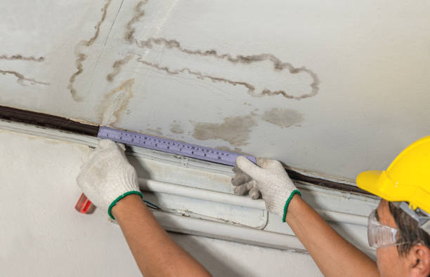 Affordable Water Damage Repair solutions in Ludington, MI
